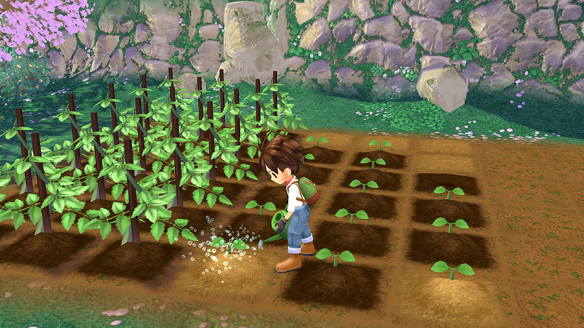 STORY OF SEASONS: A Wonderful Life